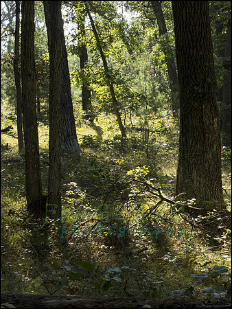 P9220257E_web