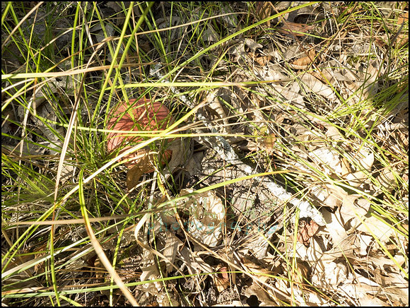 P9220260H_web