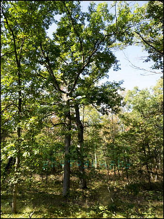 P9220259G_web