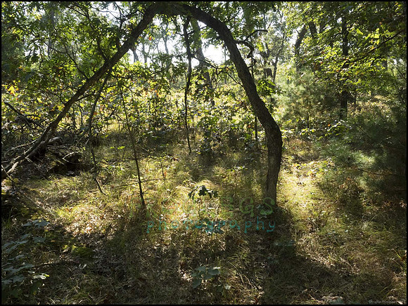 P9220261I_web