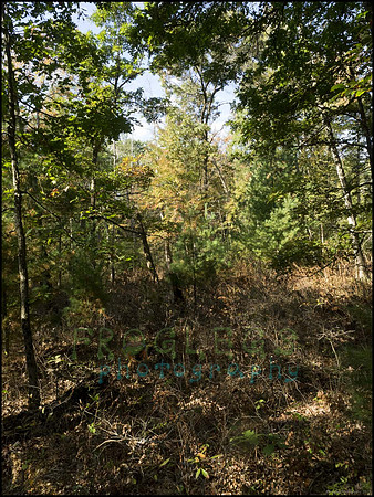 P9220262J_web