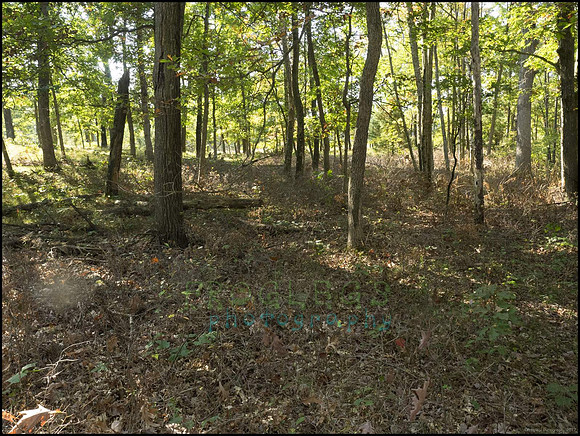 P9220263K_web
