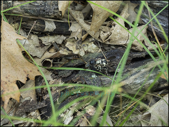 P9220271N_web