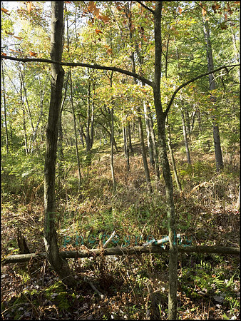 P9220264L_web