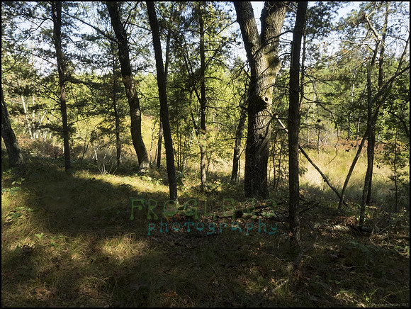 P9220275Q_web