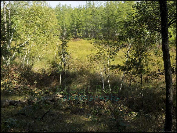 P9220276R_web