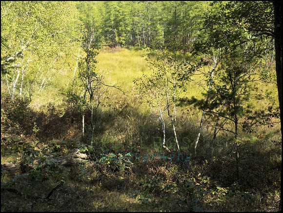 P9220277S_web