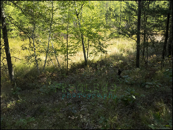 P9220278T_web