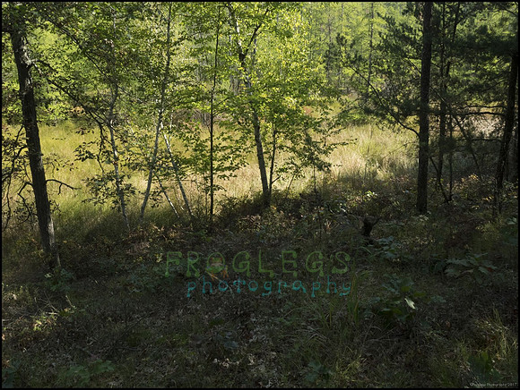 P9220279A_web