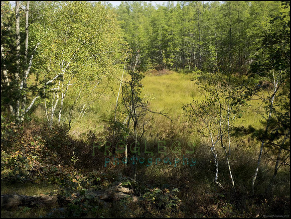 P9220280B_web