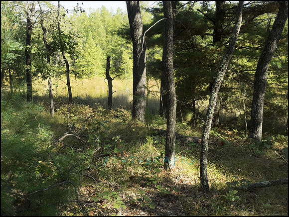 P9220283D_web