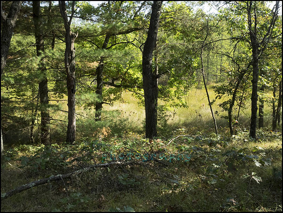 P9220284E_web