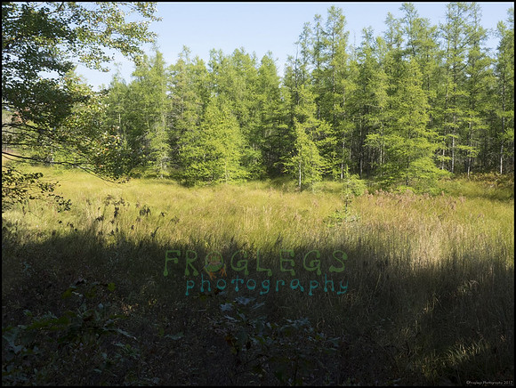P9220287H_web