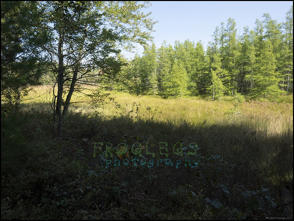 P9220286G_web