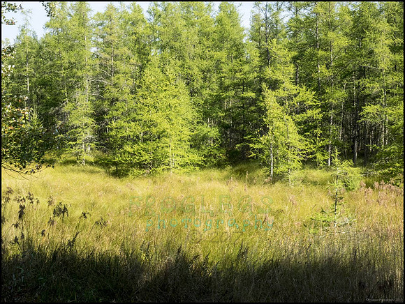 P9220288I_web