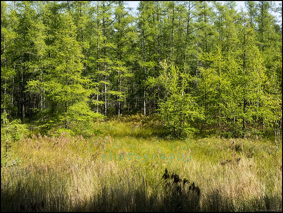 P9220289J_web