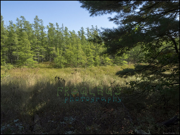 P9220291L_web