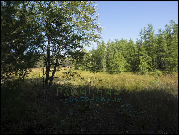 P9220290K_web