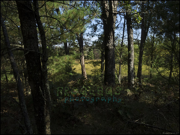 P9220292M_web