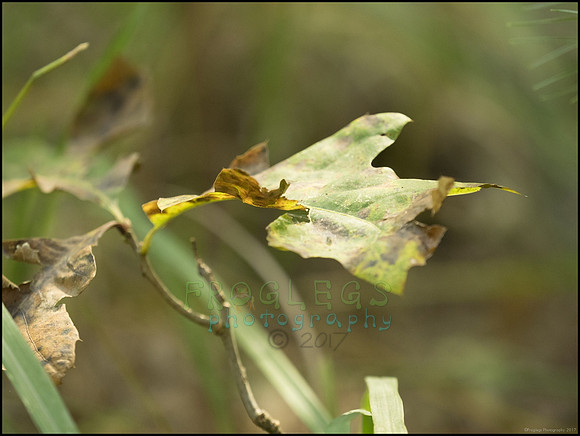 P9220302R_web