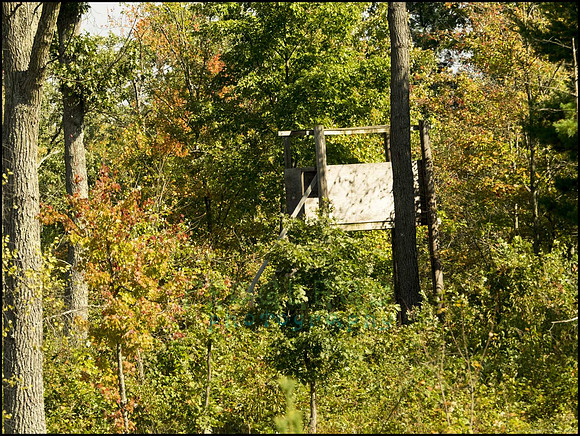 P9220314C_web