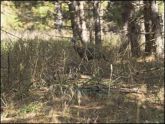 P9220320E_web