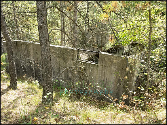 P9220324I_web