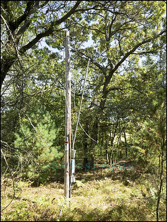 P9220327B_web