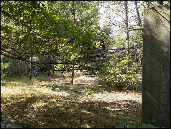 P9220328C_web