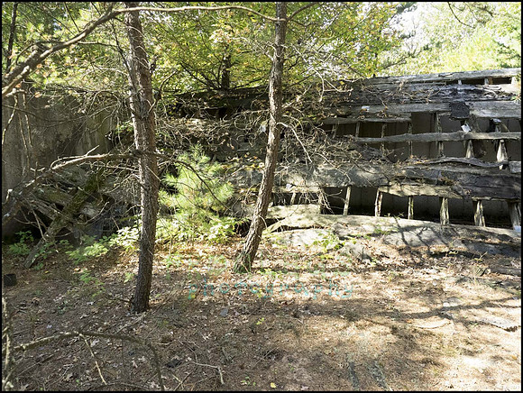 P9220330E_web