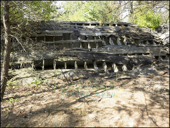 P9220332G_web