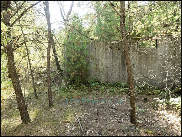 P9220334I_web