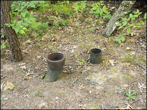 P9220335J_web