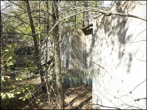 P9220339N_web