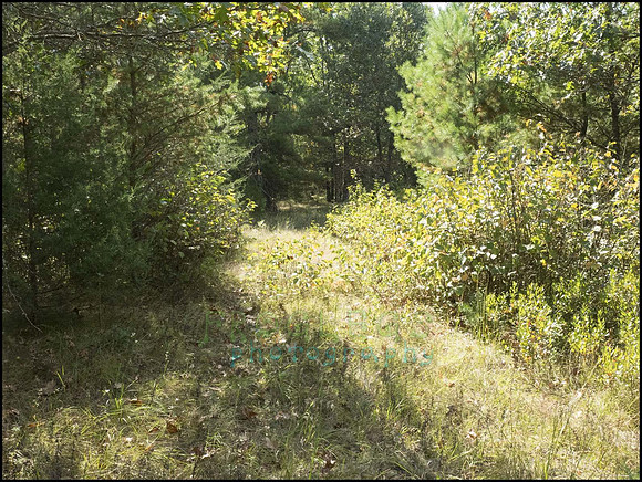 P9220342Q_web