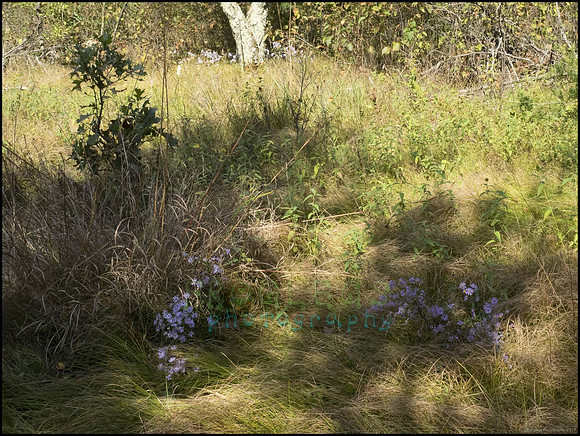 P9220343R_web