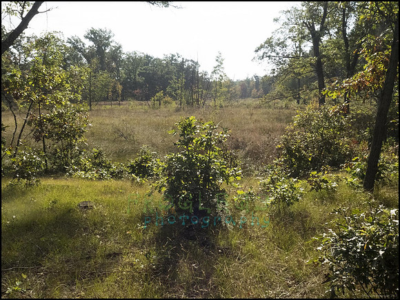 P9220158D_web