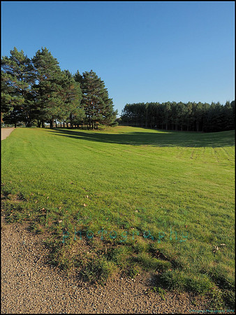Spruce_Hill_21_web