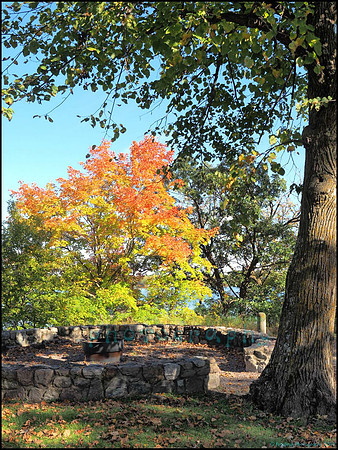 Br_Wayside_38_web