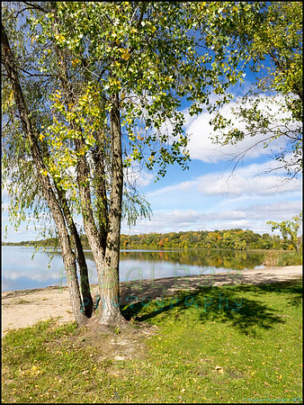 Chippewa_59_web