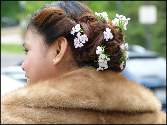 P1100484_web