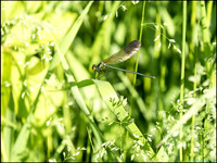 P6200700D_web