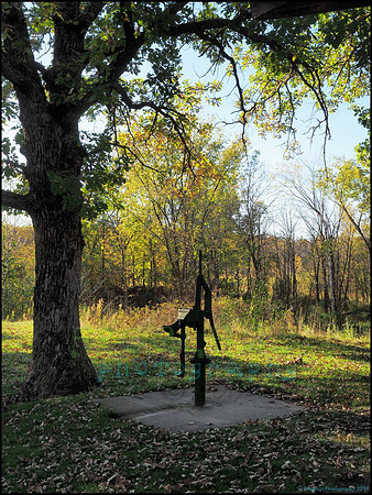 Spruce_Hill_10_web