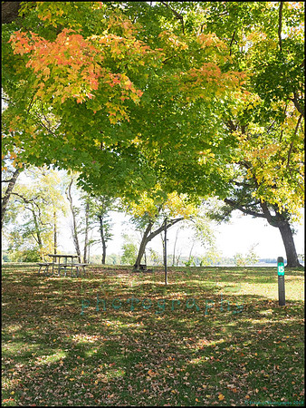 Chippewa_42_web