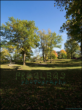Br_Wayside_15_web