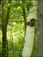 P6200720F_web
