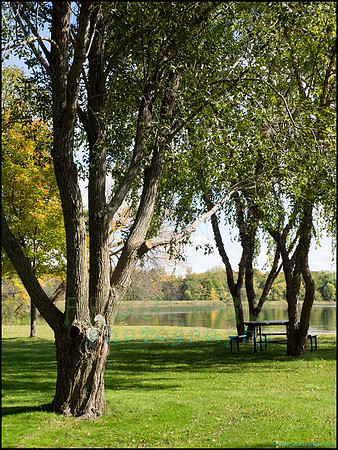 Chippewa_76_web