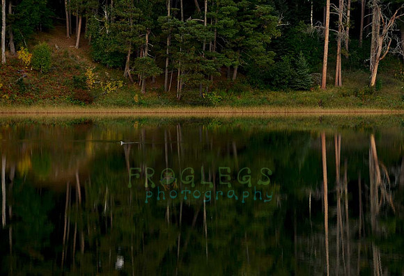 itasca_357