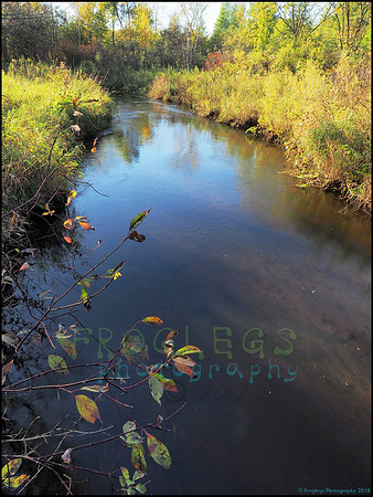 Spruce_Hill_16_web