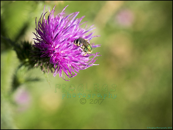 P9290303N_web